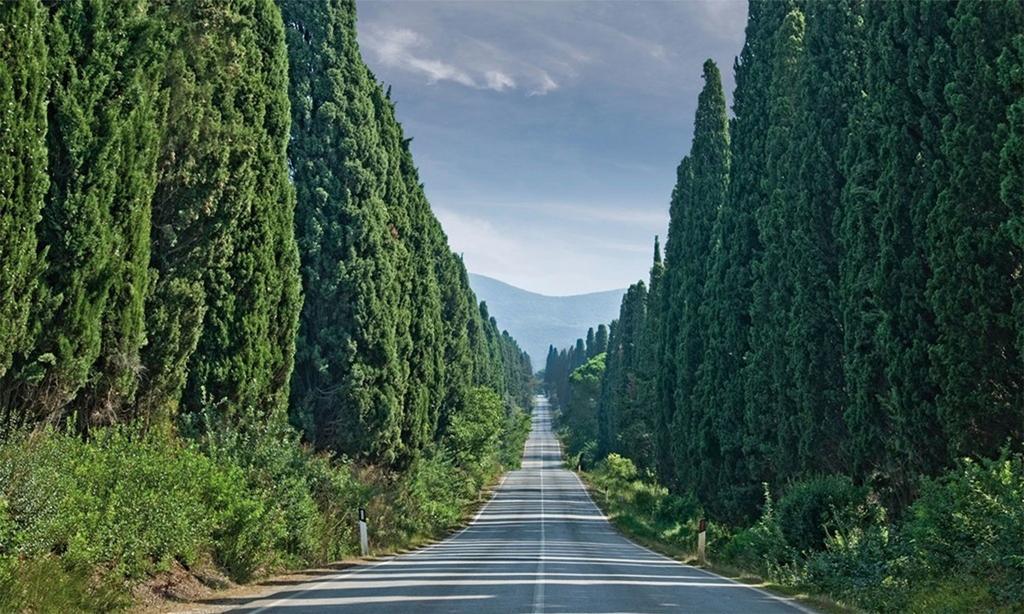 Agriturismo Ss Annunziata San Vincenzo Dış mekan fotoğraf