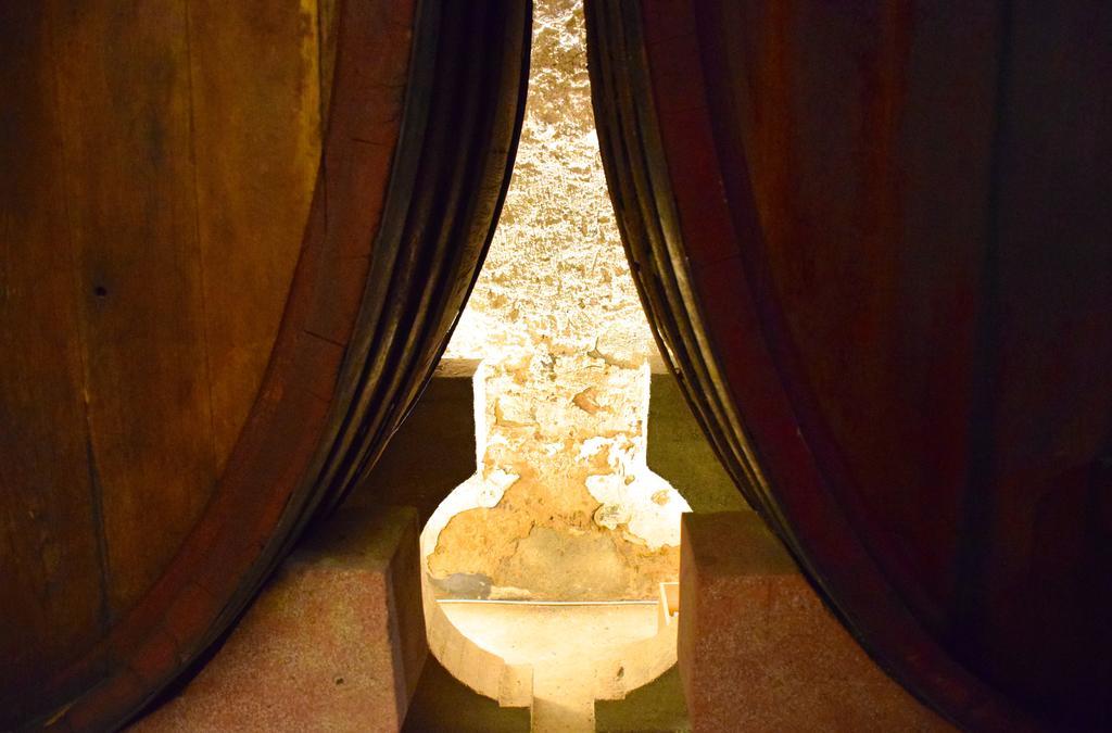 Agriturismo Ss Annunziata San Vincenzo Dış mekan fotoğraf