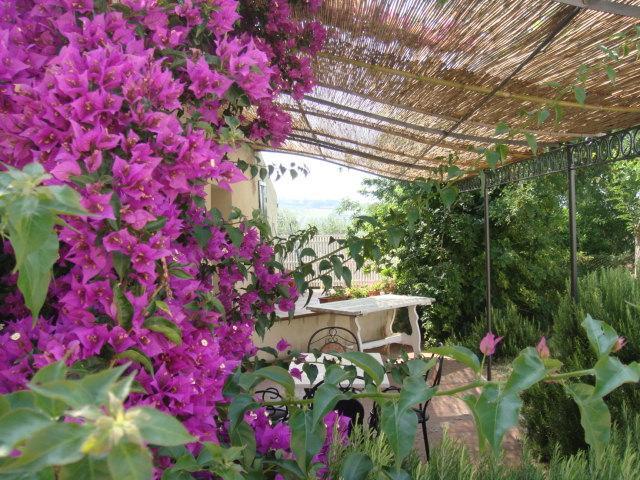 Agriturismo Ss Annunziata San Vincenzo Dış mekan fotoğraf