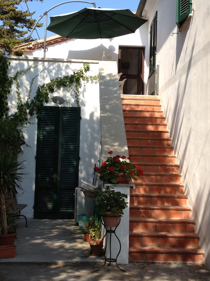 Agriturismo Ss Annunziata San Vincenzo Dış mekan fotoğraf